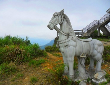 BẠCH MÃ (1 NGÀY) BẠCH MÃ (1 NGÀY)