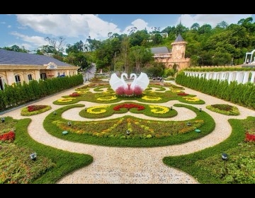 BA NA HILLS – COLORFUL FLOWERS BA NA HILLS – COLORFUL FLOWERS